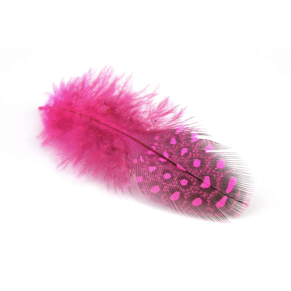 Perlhuhnfedern - ca. 6 - 8 cm lang / 24 Stück in vielen versch. Farben